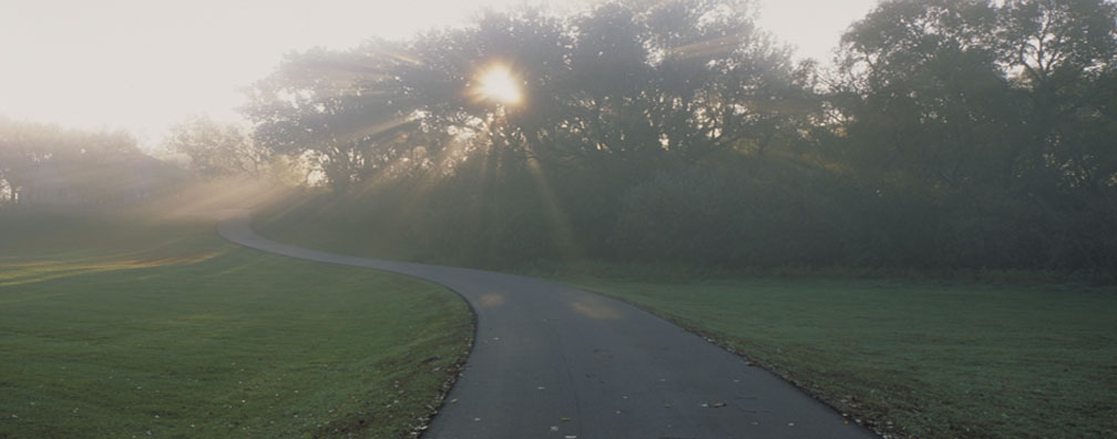 foggy.jpg