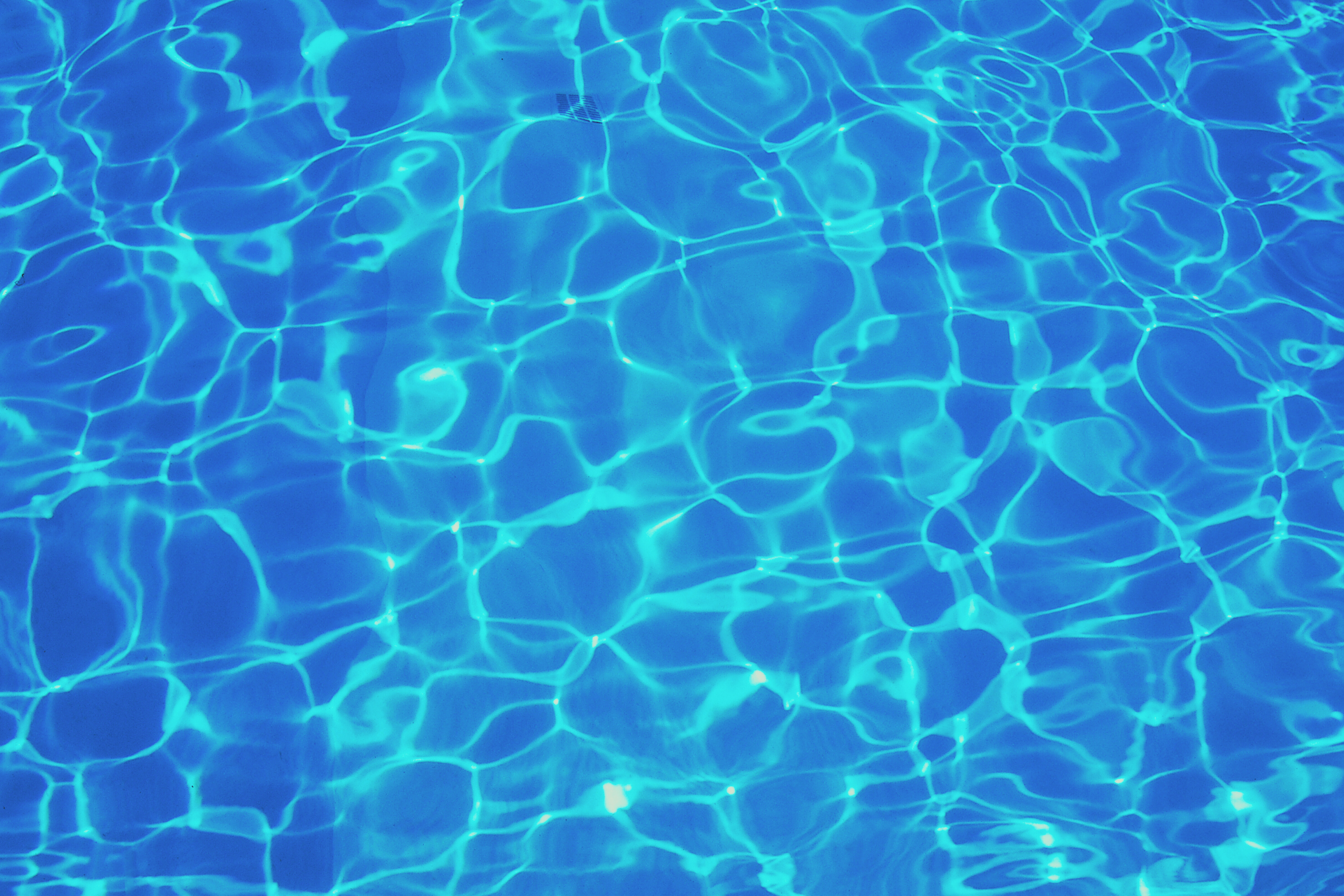 Untitled design (7).png